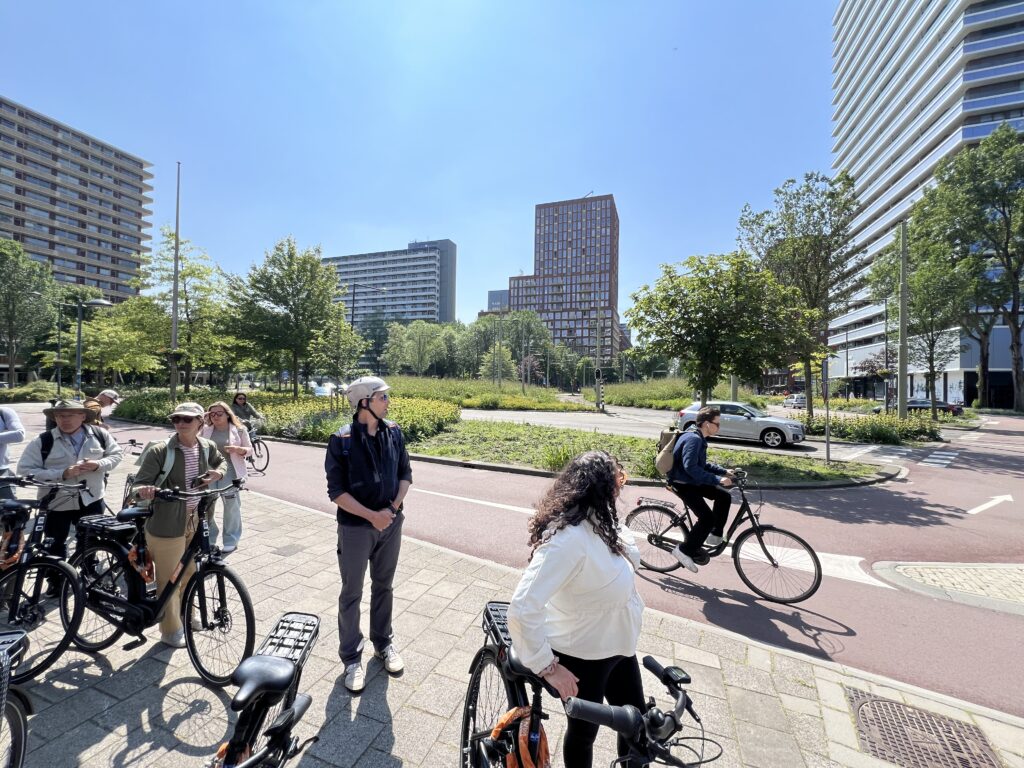 Delft Roundabout