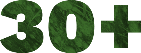 30+